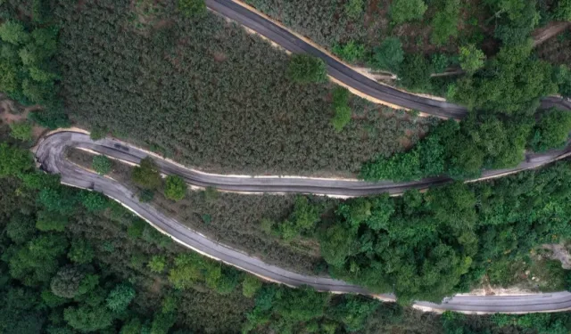 Çamaş Sucuali Mahallesi asfalt konforuna kavuştu