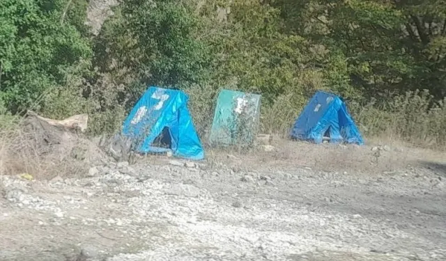 Düzce Yığılca’da sokak hayvanlarına hayvanseverlerden kulübe desteği