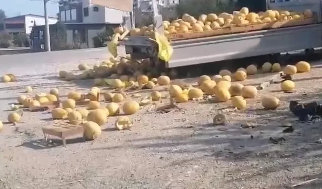 Düzce'de kaza: Kavunlar yola saçıldı