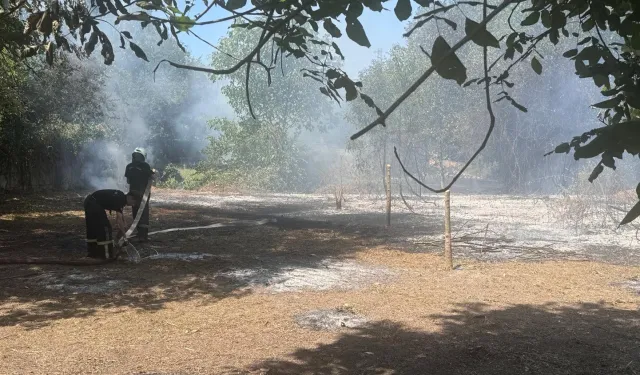 Düzce’de otluk alanda çıkan yangın kontrol altında