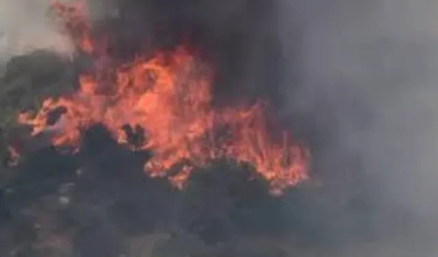 Edirne Keşan yangınında 13 hektar alan zarar gördü