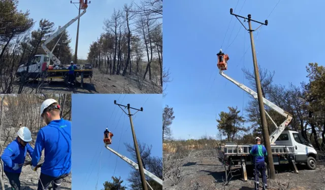 Enerji hatları yangının ardından yeniden onarılıyor