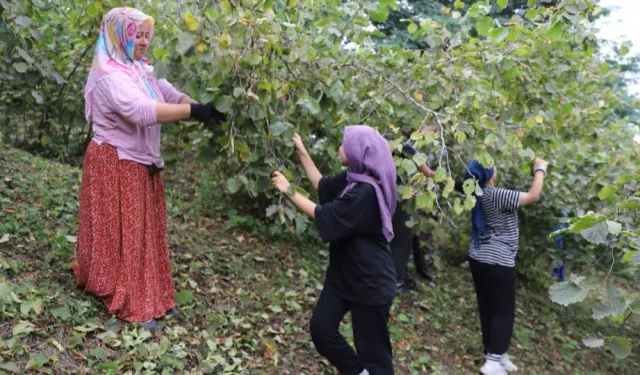 ‘Fındık Dalda Aklın İşçide Kalmasın’ projesi 6. yılında