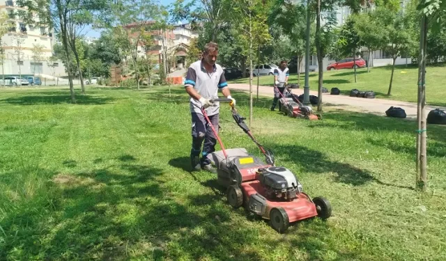 Gebze Tatlıkuyu Vadisi Kent Parkı'na düzenli bakım