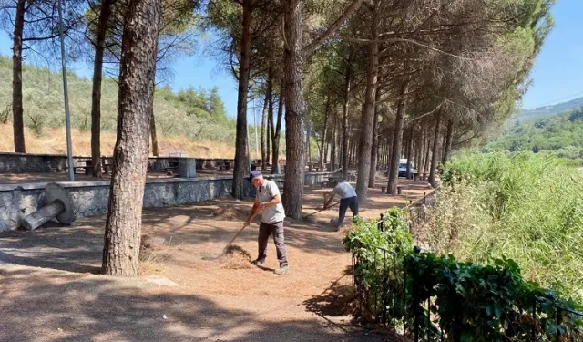 Gemlik Kurtul Piknik Alanı'nda kapsamlı temizlik