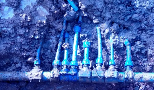 Görenler şok oldu! Şeytanın aklına gelmez