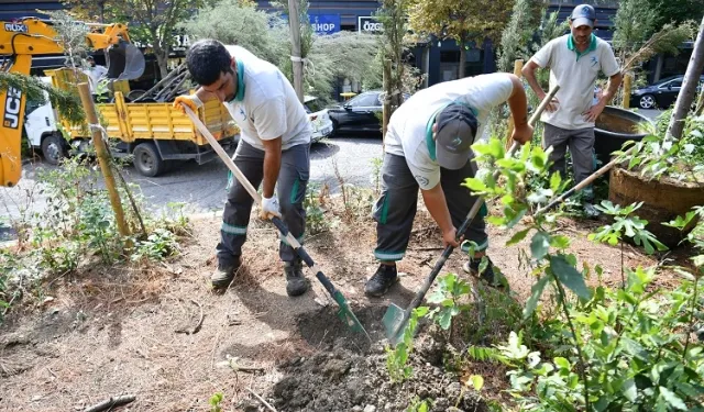 İstanbul Beylikdüzü daha da yeşil olacak