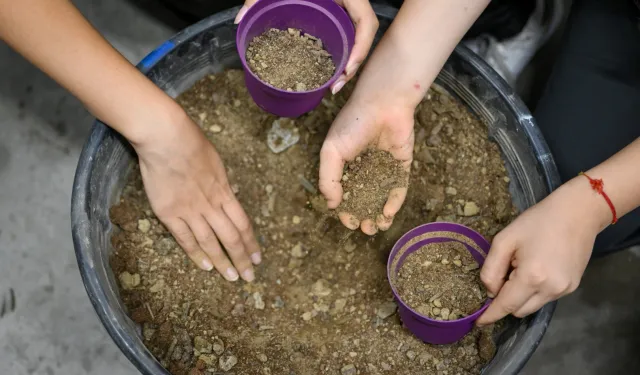 İzmir Bornova’da tohumdan umuda