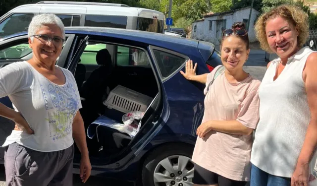 İzmir Narlıdere'de minik dostlar için seferberlik