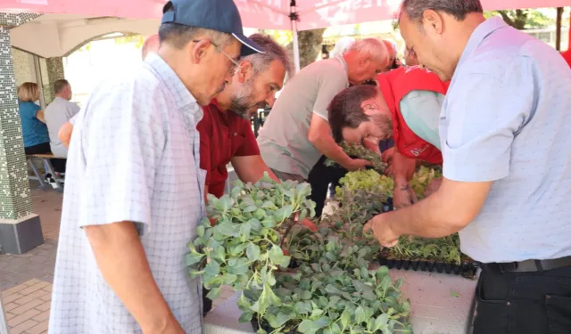 İzmit’te başlayan fide desteği, Gebze köylerine ulaştı