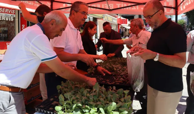 İzmit'ten vatandaşlara fide hediyesi