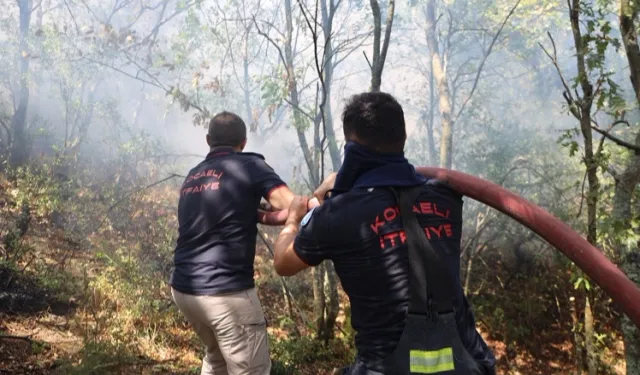 Kocaeli Büyükşehir'den Karamürsel yangını için seferberlik