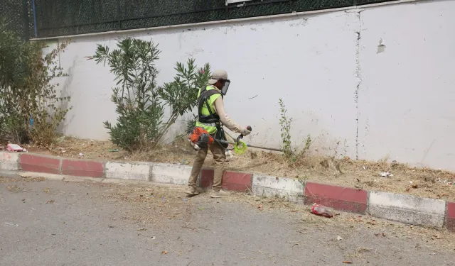 Kocaeli okul bahçelerinde otlar biçiliyor