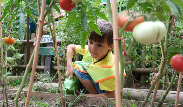 Kocaeli'de Lokomotif Çocuk Köyü'nde hasat sevinci