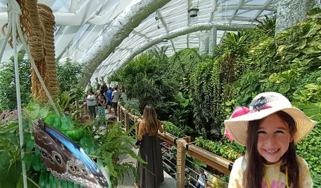 Konya'nın tropikal bahçesi ziyaretçileri büyülüyor