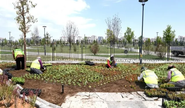 Malatya çiçek bahçesine döndü