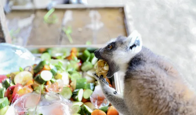 Mersin Tarsus Doğa Parkı’nda yaz tedbirleri