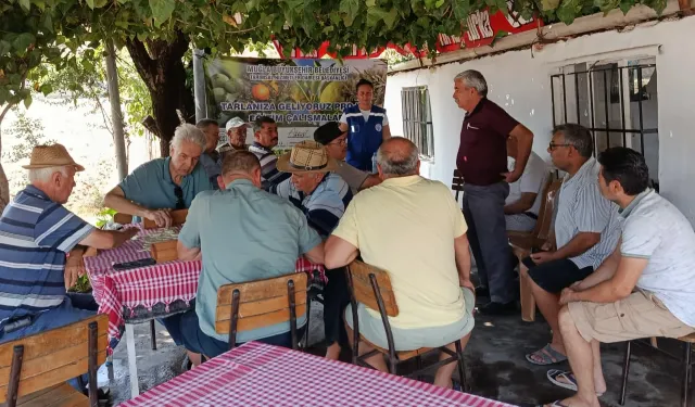 Muğla Büyükşehir’den zeytin üreticisine eğitim desteği