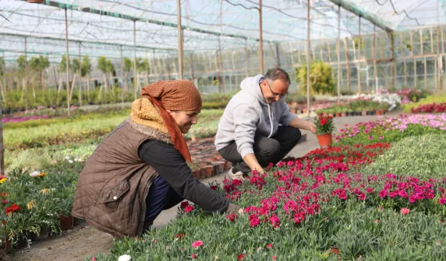 Muğla'da kadın emeğiyle çiçek devrimi... 27 milyon çiçek, 23 milyon tasarruf
