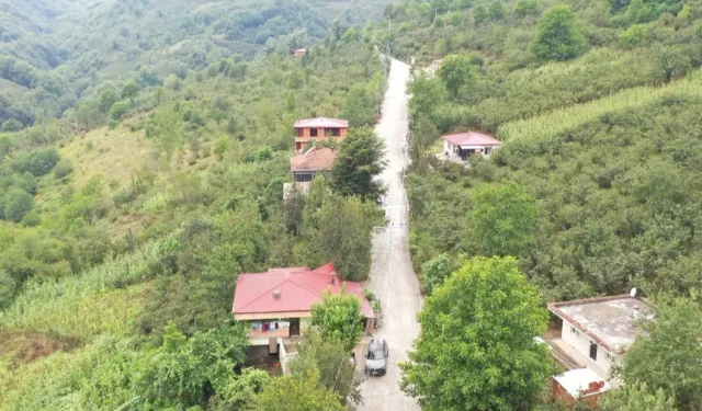 Ordu Büyükşehir'den beton yol çalışması