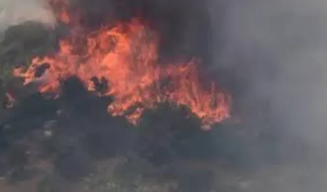 Şirin Çoğal Keşan’daki yangınla ilgili açıklama