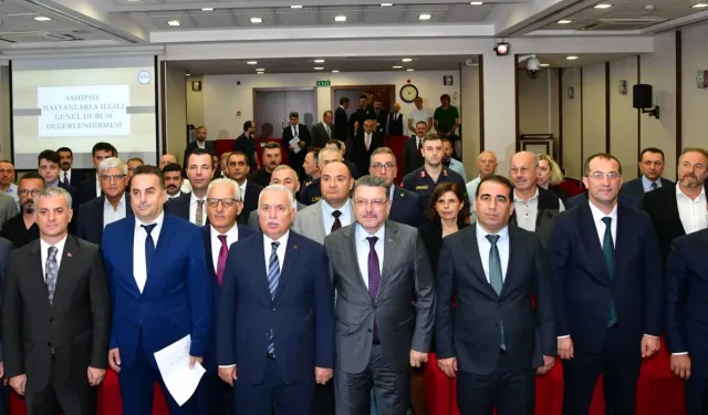 Trabzon’da sahipsiz hayvanlar için yeni dönem: TİSKOB kuruluyor