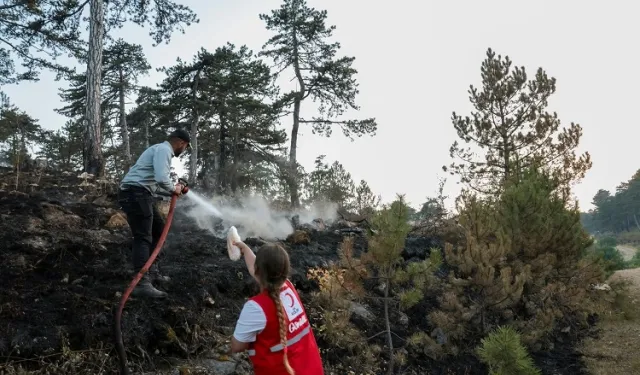 Türk Kızılayı orman yangınlarıyla mücadelede ön safta