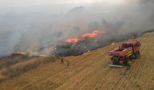 Türkiye 2025 yazında yangınlarla mücadele ediyor... 64 bin 500 hektar alan zarar gördü