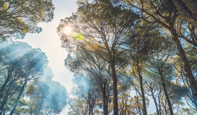 Yangın riskine karşı tatilde nasıl davranmalıyız?