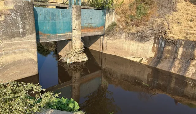 Zabıta affetmedi, doğayı kirletene kesti cezayı