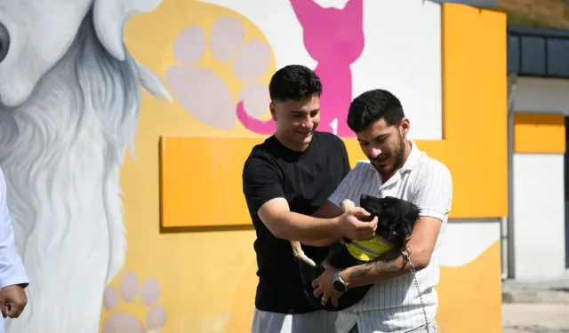 Zift, yeni yuvasına uğurlandı