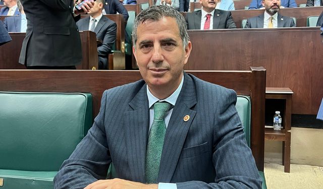 Çarşı köprüsünün onarımına önümüzdeki ay başlanıyor