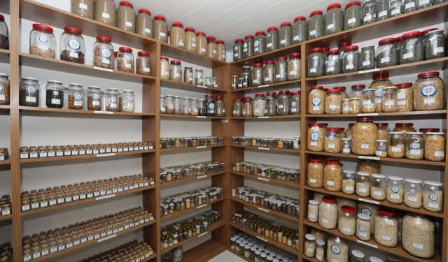 2026 yılında hedef 4 milyon yerel tohum