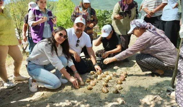 Adana'da kırsaldaki kadınlar güçlendiriliyor