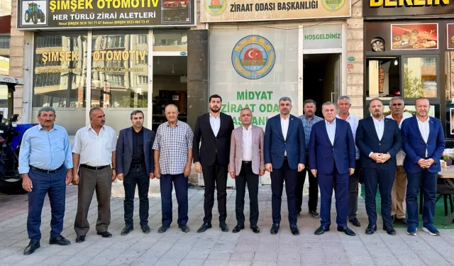 AK Parti Milletvekili Faruk Kılıç, Midyat’ta çalışmaları inceledi