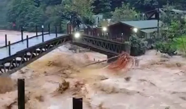 Artvin sele teslim oldu, 7 köye ulaşılamıyor