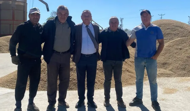 Başkan Köprü’den çiftçilere hasat ziyareti