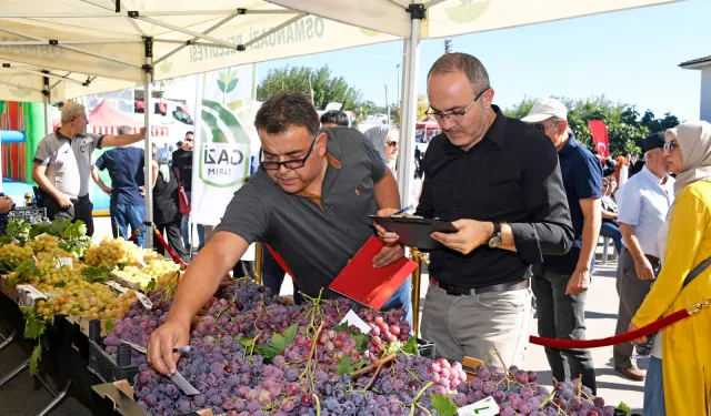 Bursa'da en kaliteli üzümler Osmangazi’de yarıştı