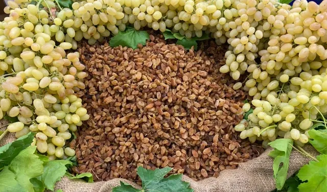 Çekirdeksiz ihracatta Türkiye 'en'leri yaşadı