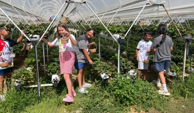 Doğanın kalbinde bir yaz masalı