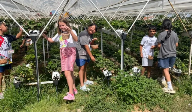 Eskişehir'de Taşlık Doğa Yaz Okulu sona erdi