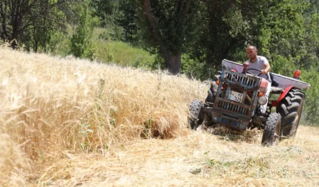 İstanbul’dan Ordu’ya uzanan çiftçilik hikayesi