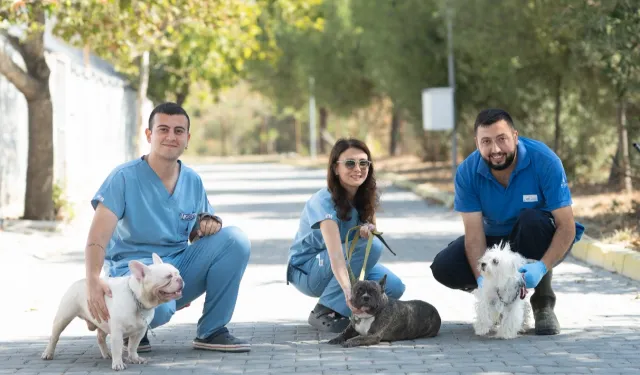 İzmir’de el konulan 20 cins köpek sahiplendirilecek