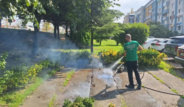 Kocaeli'de vektörle mücadeleye güçlü destek