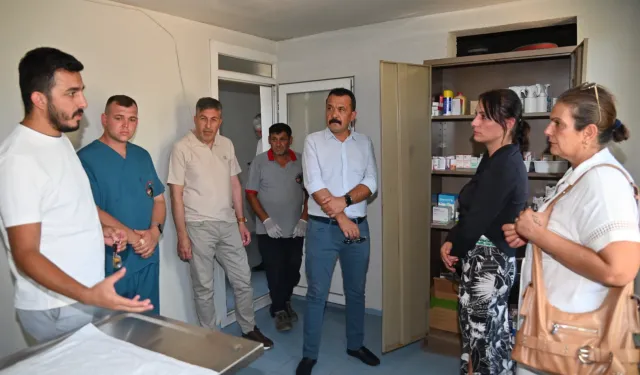 Manisa’da sokak hayvanları için yeni yaşam alanları oluşturuluyor