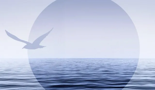 Mudanya 1. Fotoğraf Günleri başlıyor