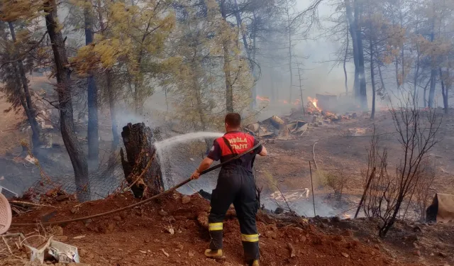 Muğla’da orman yangınlarına koordineli müdahale
