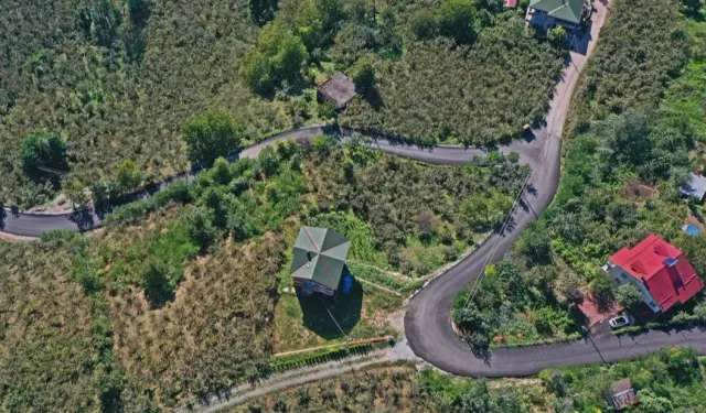 Ordu Altınordu’da sıcak asfalt sevinci