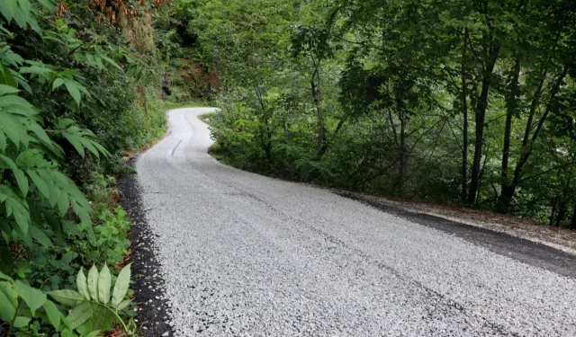 Ordu Kumru’da ulaşım rahatlıyor