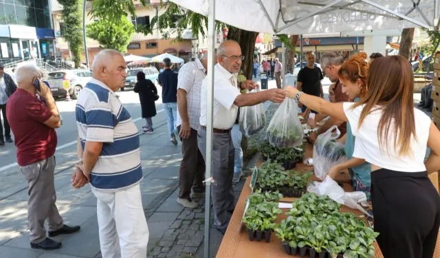 Ordu’da kışlık sebze atağı: 200 bin fide üreticiyle buluşuyor